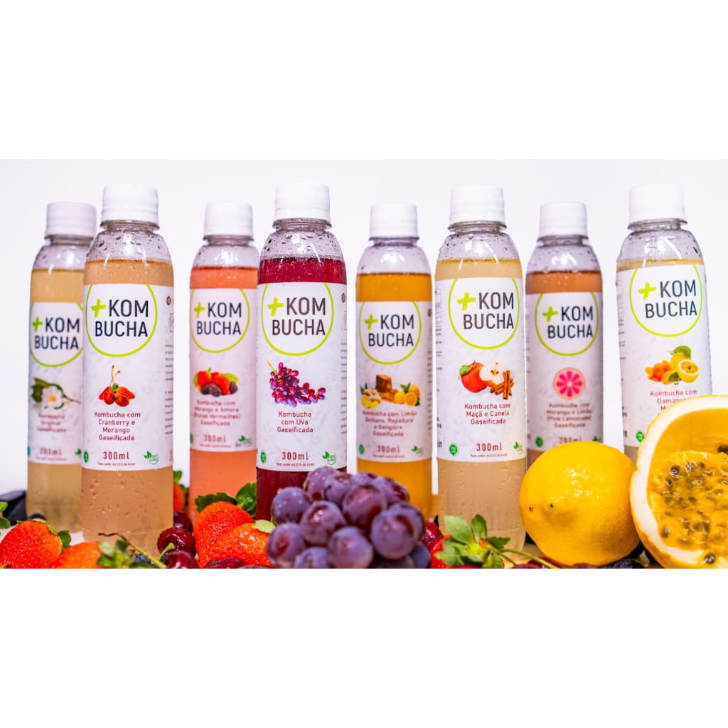 Kombucha Gaseificada Sabores (Kit com 6)