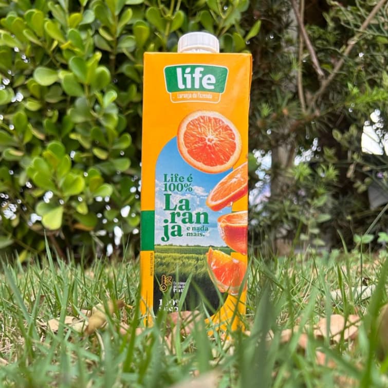 Suco Laranja Integral 100% Suco 4 Unidades - Sem Açúcar, Sem Glúten, Sem Corantes